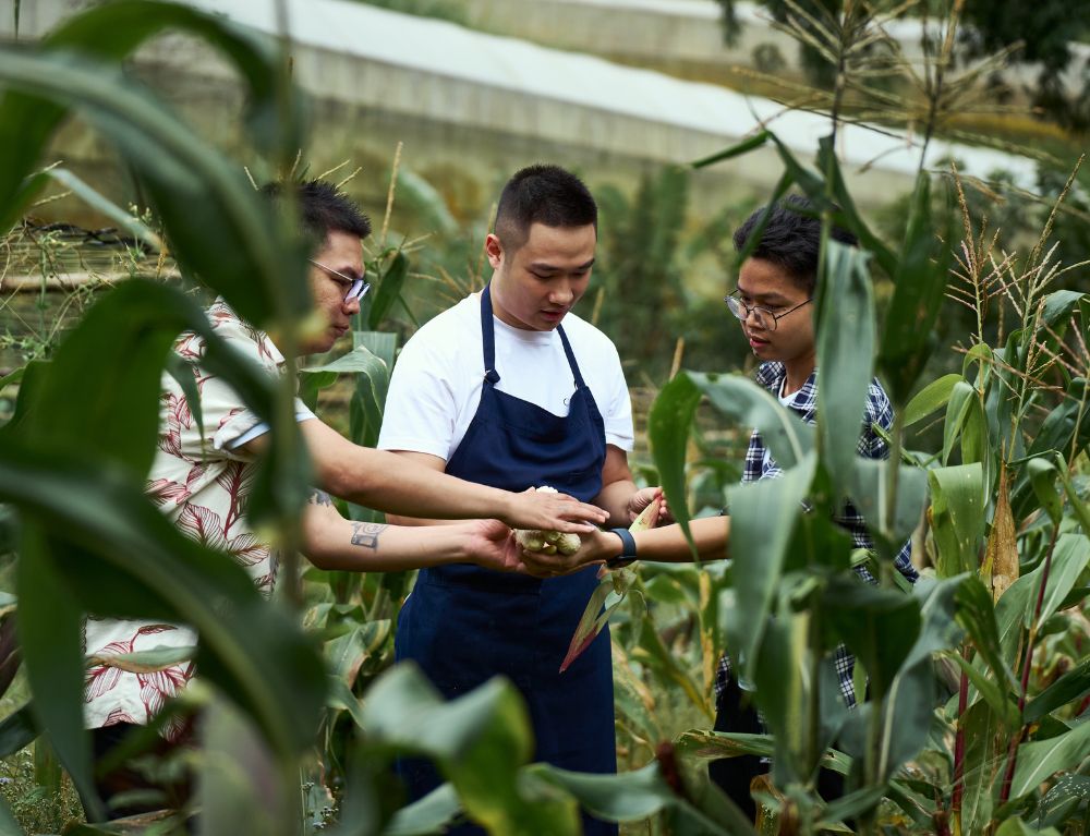 Từng món ăn là hành trình từ một hạt mầm – được chăm sóc, chọn lọc và trân trọng đến từng chi tiết