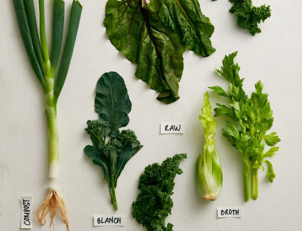 every-part-of-a-plant-tells-hidden-story-behind-root-to-stem-cooking