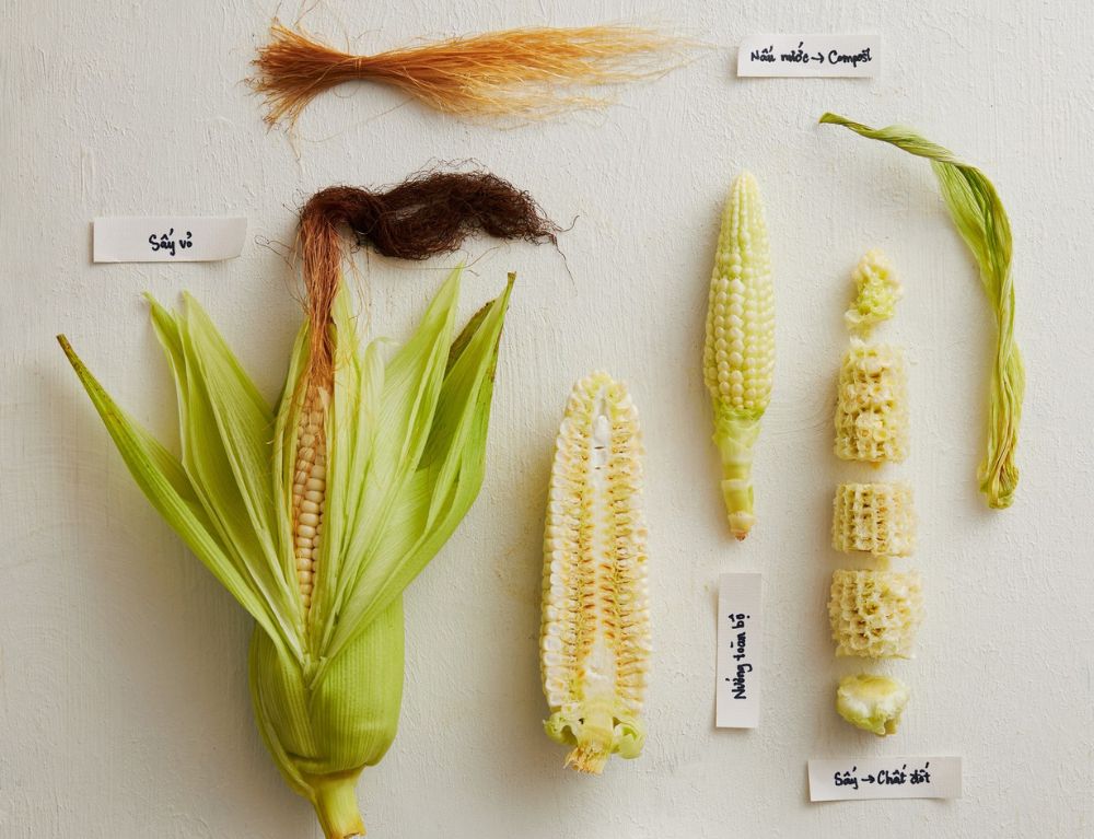 corns-potential-goes-beyond-its-kernel-root-to-stem-cooking