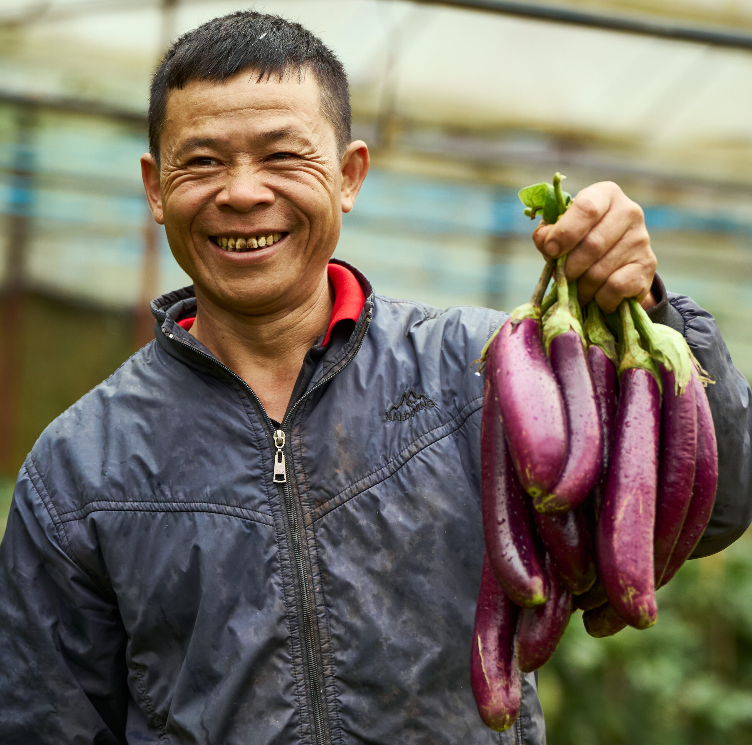 eggplant-absorbing-flavors-cooking-scaled